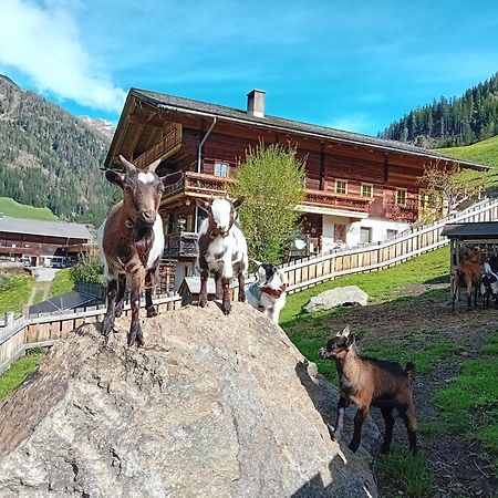 Ferienhaus Egger Innervillgraten Eksteriør billede